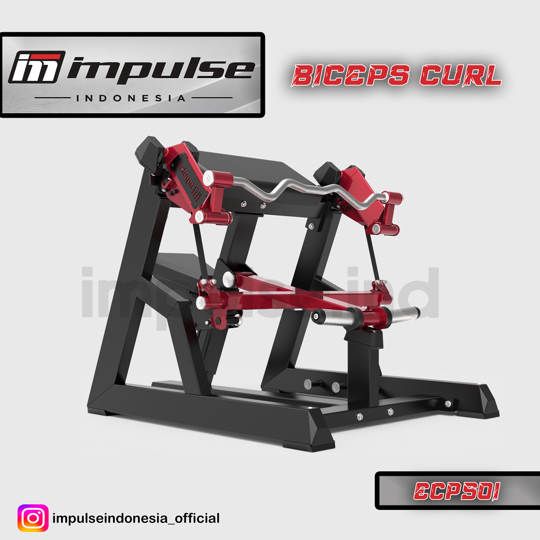 ECP501 BICEPS CURL