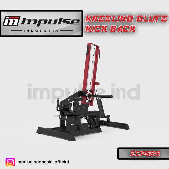 ECP625 KNEELING GLUTE KICKBACK