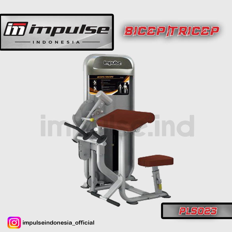 PL9023 BICEPS / TRICEPS