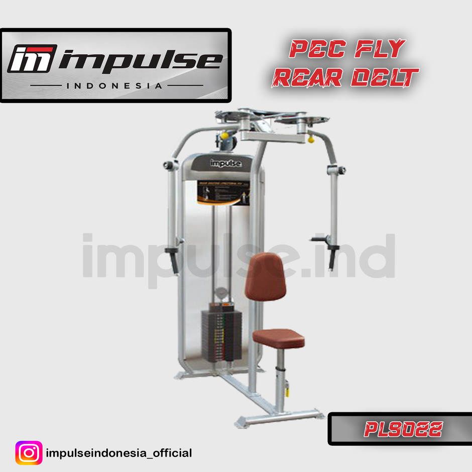 PL9022 PEC FLY / REAR DELT