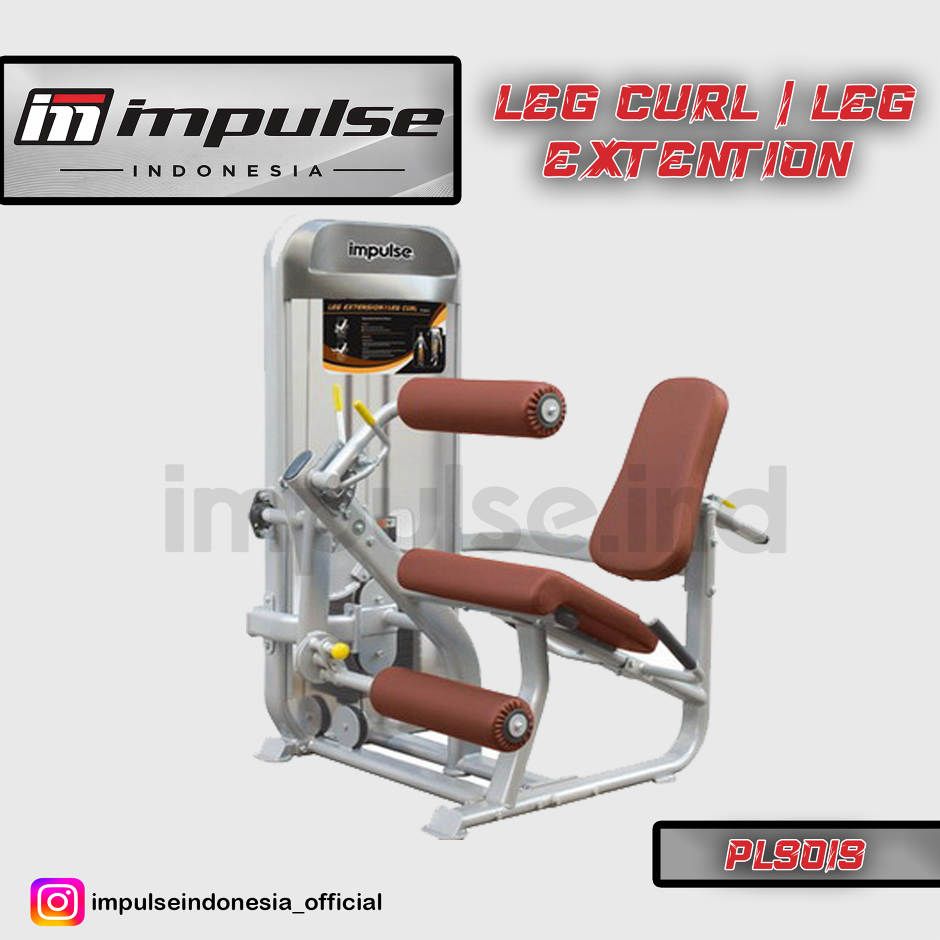 PL9019 LEG CURL / EXTENTION