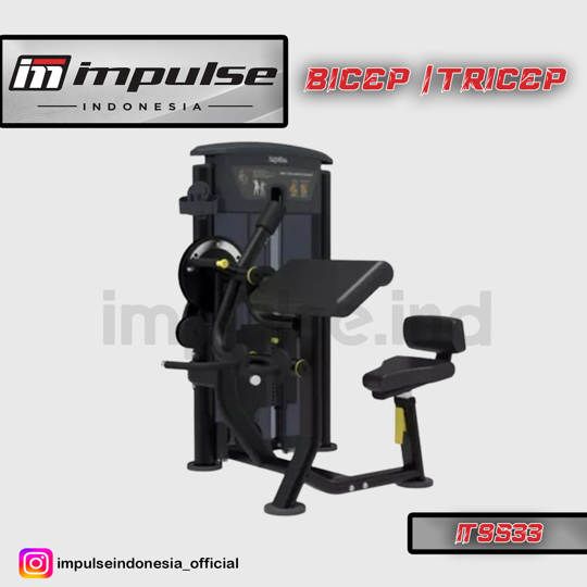 IT9533 BICEPS / TRICEPS