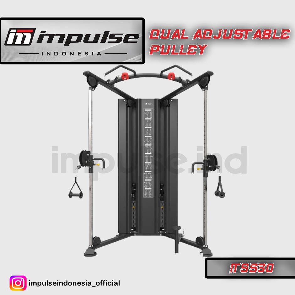 IT9530 DUAL ADJUSTABLE PULLEY