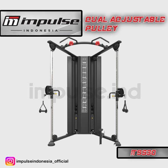 IT9530 DUAL ADJUSTABLE PULLEY