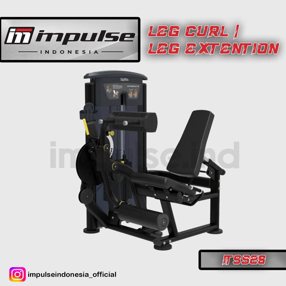 IT9528 LEG CURL / EXTENTION