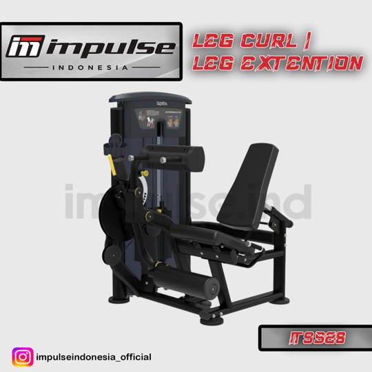 IT9528 LEG CURL / EXTENTION