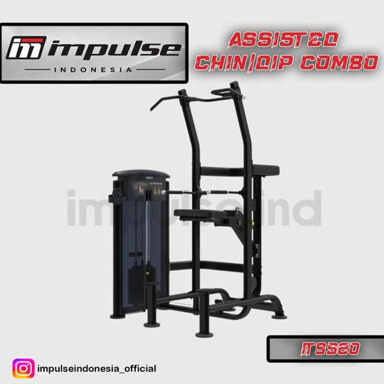 IT9520 WEIGHT ASSISTED CHIN/DIP COMBO