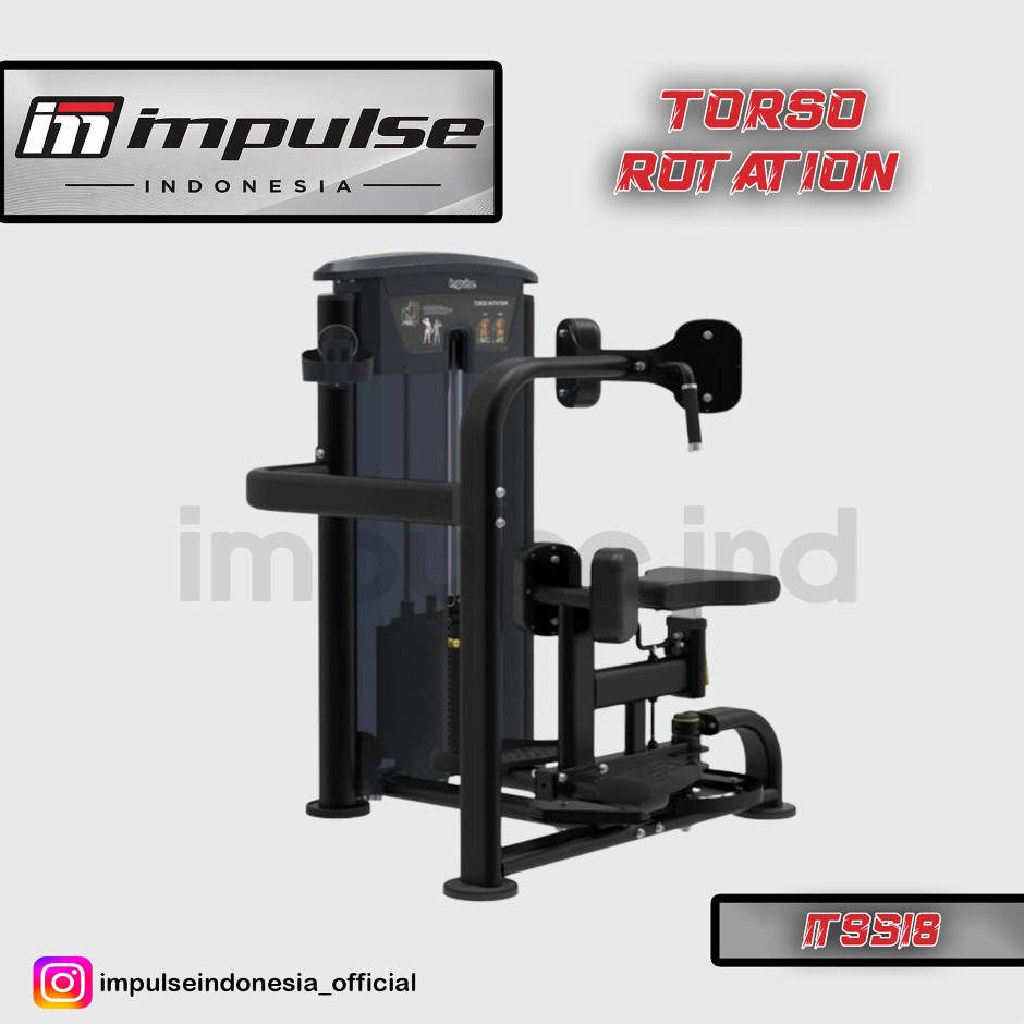 IT9518 TORSO ROTATION