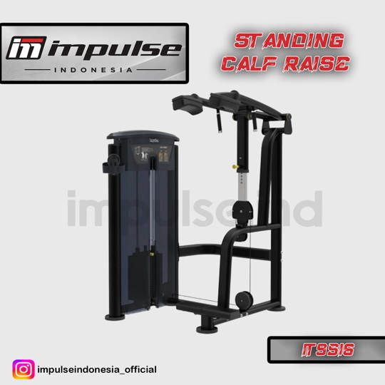 IT9516 STANDING CALF