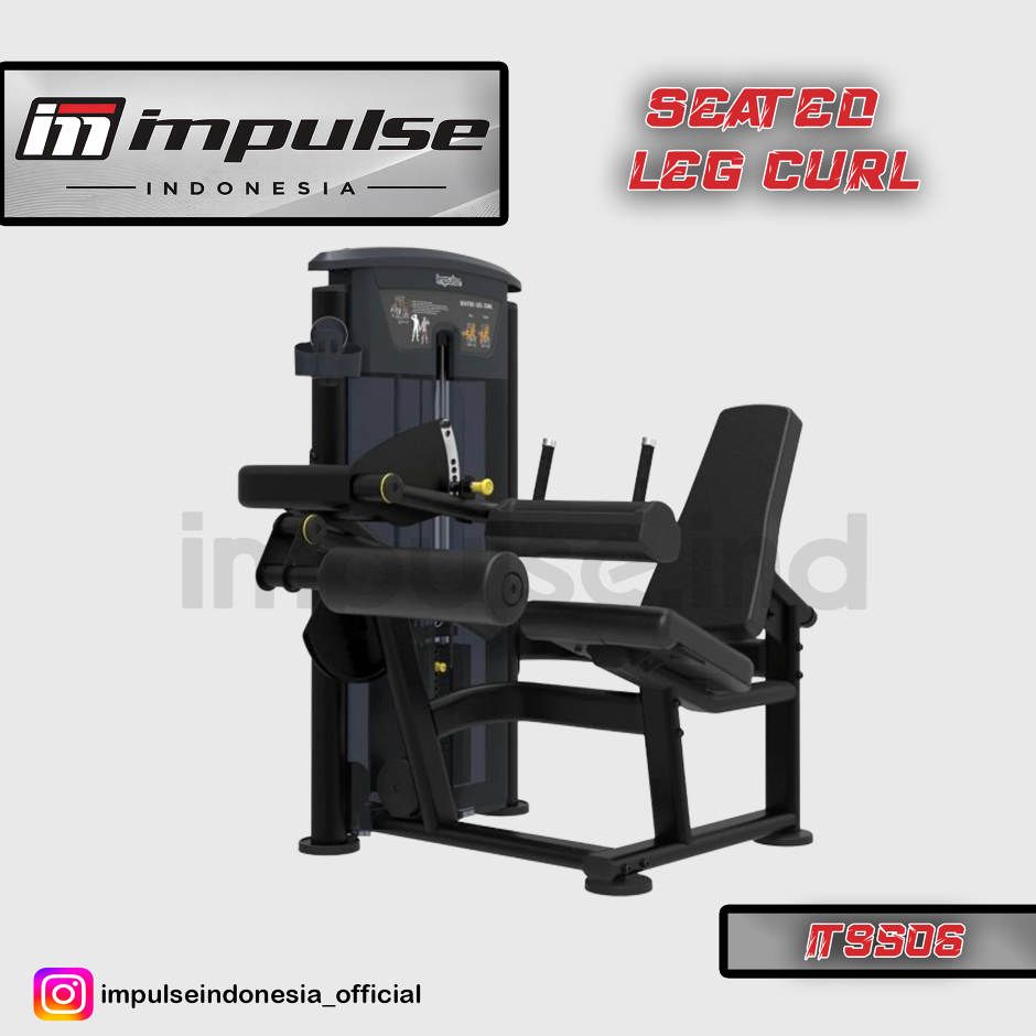 IT9506 SEATED LEG CURL