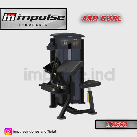 IT9503 ARM CURL