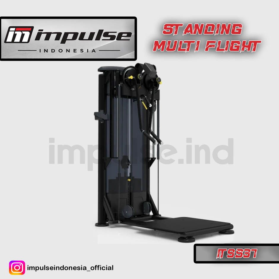 IT9537 STANDING MULTI FLIGHT