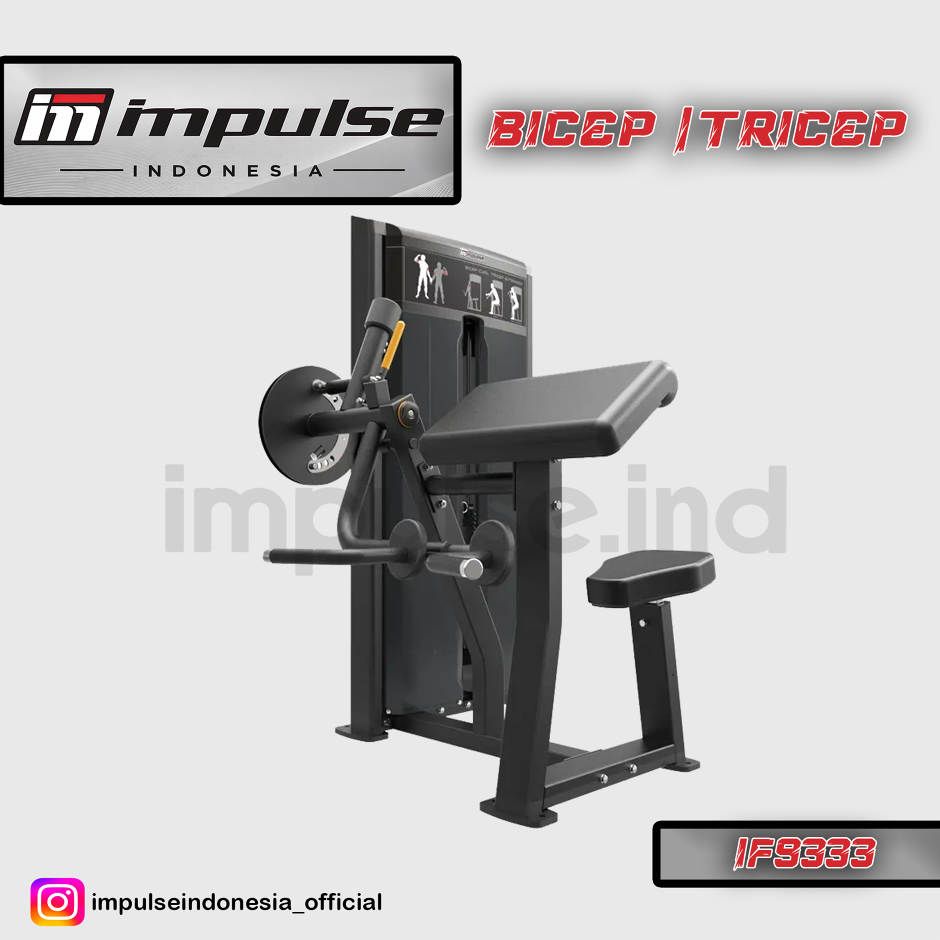 IF9333 BICEPS/TRICEPS