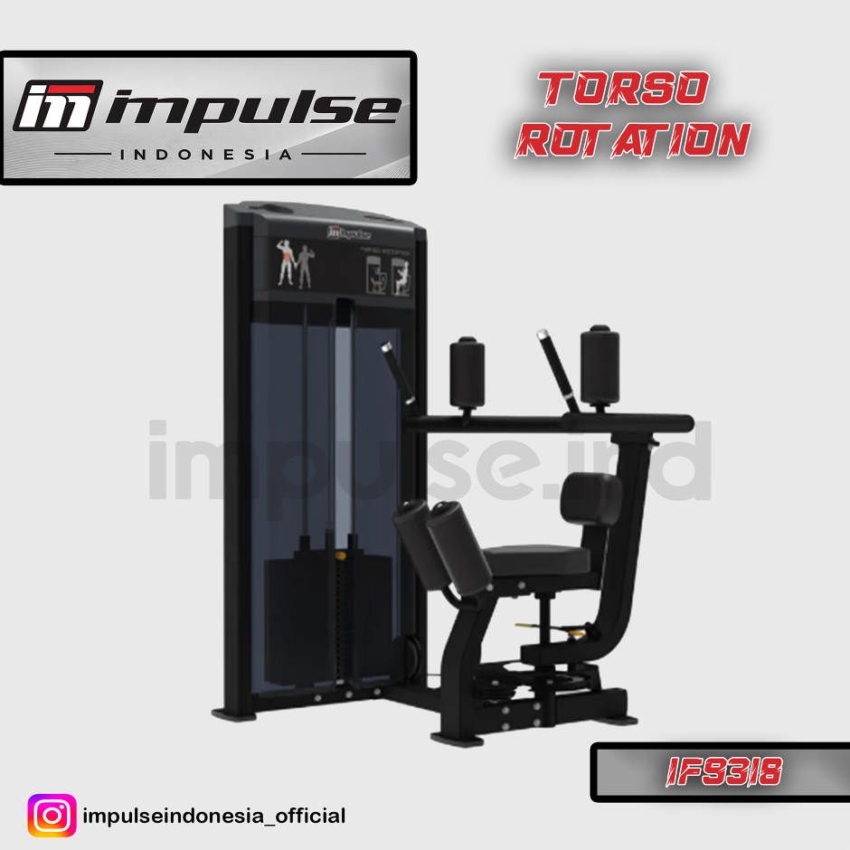 IF9318 TORSO ROTATION