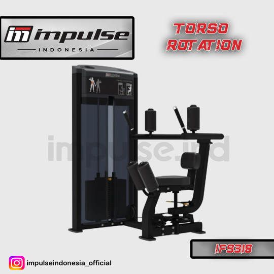 IF9318 TORSO ROTATION