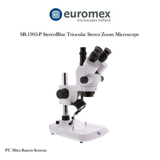 SB.1903-P Mikroskop Stereo Trinokuler