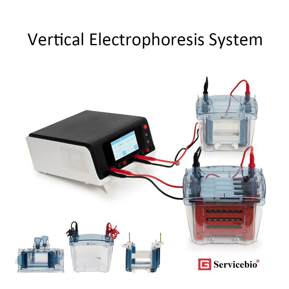 BVE.4 Vertical Electrophoresis System - Sistem Elektroforesis Vertikal