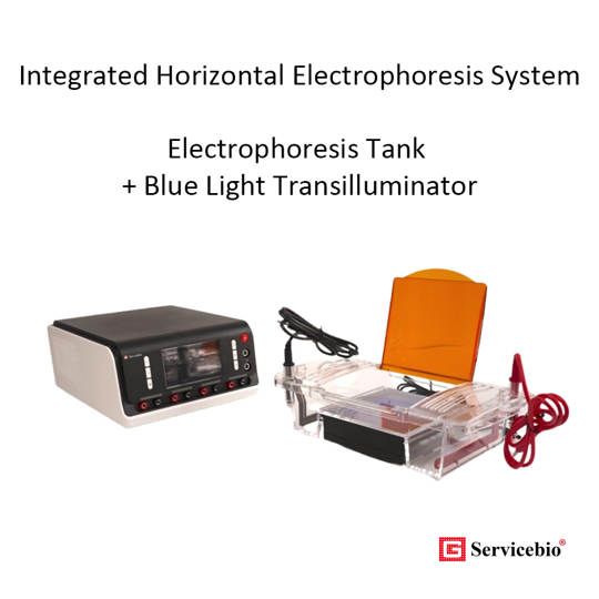SVL-2 Integrated Horizontal Electrophoresis System Electrophoresis Tank and Blue Light Transilluminator - Elektroforesis Horizontal