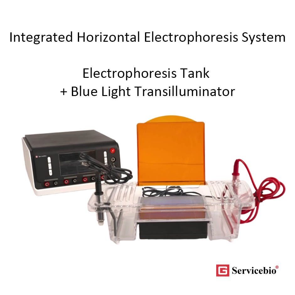 SVL-2 Integrated Horizontal Electrophoresis System Electrophoresis Tank and Blue Light Transilluminator - Elektroforesis Horizontal