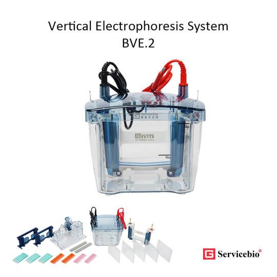 BVE.2 Vertical Electrophoresis System - Sistem Elektroforesis Vertikal
