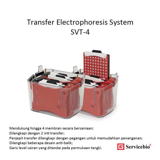 SVT-4 Transfer Electrophoresis System - Sistem Transfer Elektroforesis