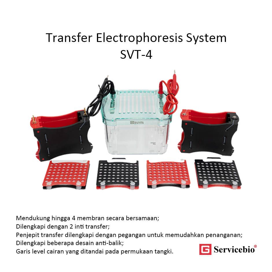 SVT-4 Transfer Electrophoresis System - Sistem Transfer Elektroforesis Servicebio