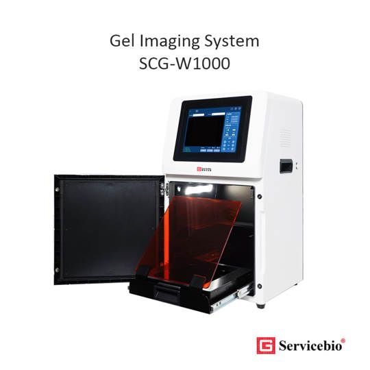 Gel Imaging System for Electrophoresis Servicebio