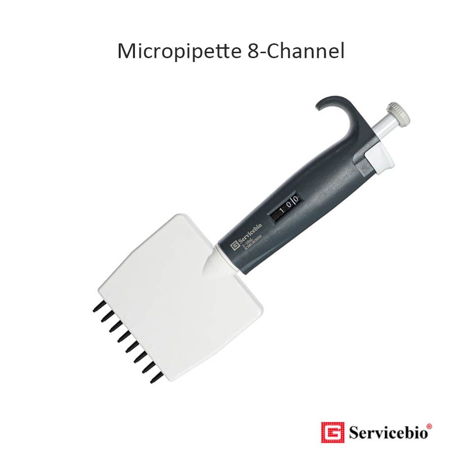 Micropipette 8-Channel Servicebio