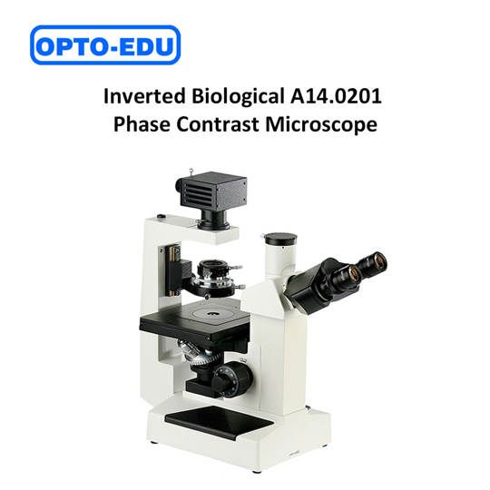 Mikroskop Biologi Inverted Phase Contrast A14.0201