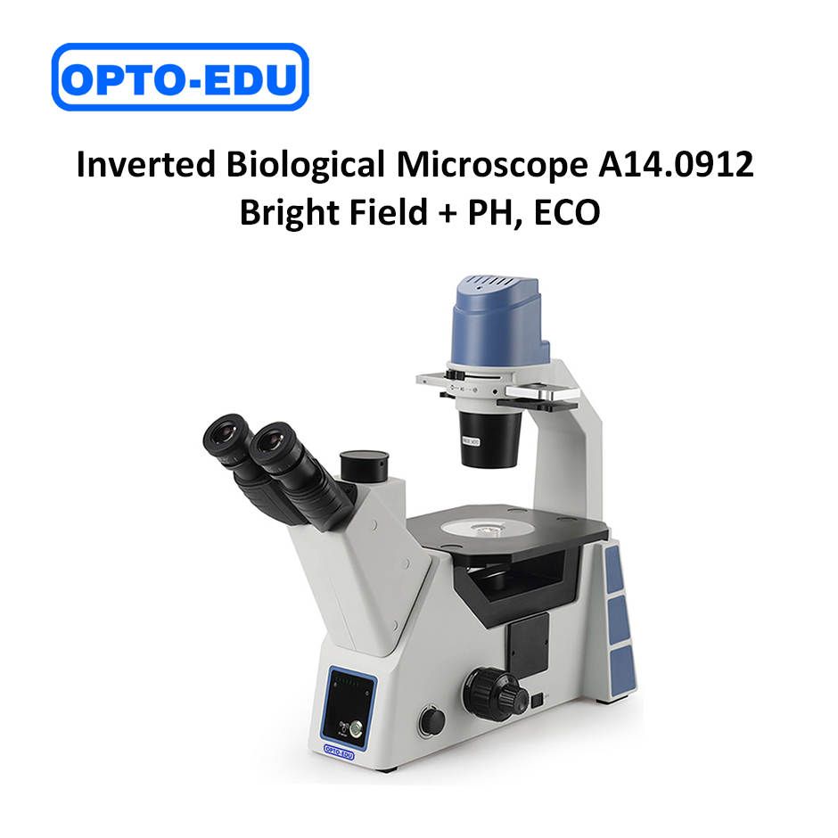 Mikroskop Biologi Inverted A14.0912 Bright Field + PH, ECO