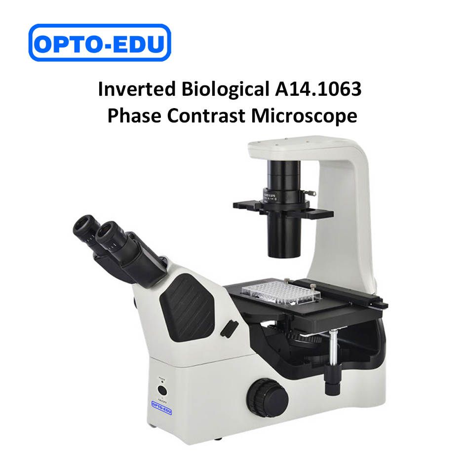 Mikroskop Biologi Inverted Phase Contrast A14.1063