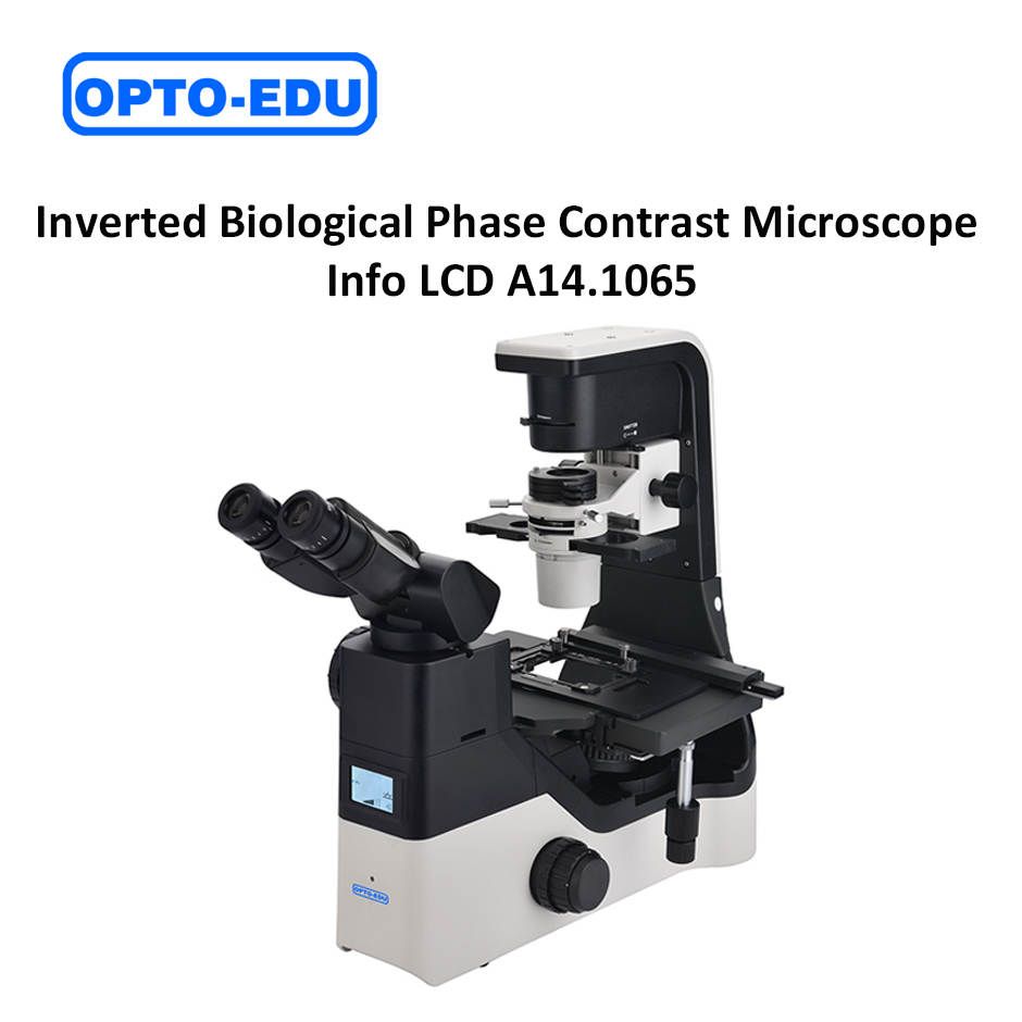 Mikroskop Biologi Inverted Phase Contrast A14.1065 Info LCD
