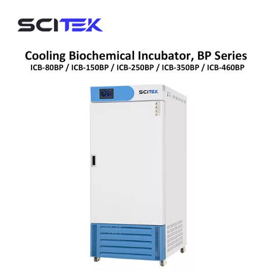Cooling Biochemical Incubator BP Series Scitek