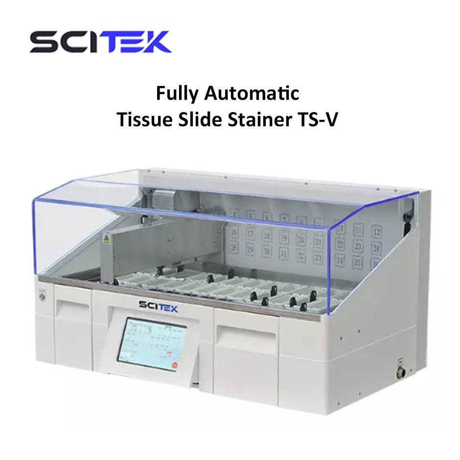 Fully Automatic Tissue Slide Stainer TS-V Scitek
