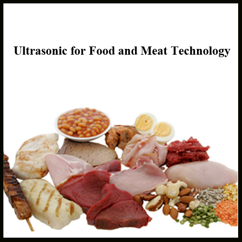 Aplikasi Ultrasonik pada Teknologi Pangan dan Daging