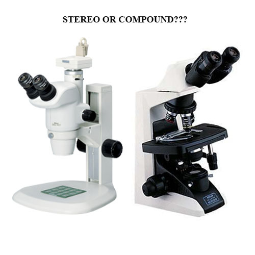 Cara Memilih Mikroskop