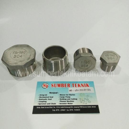 Hex Plug Stainless Steel