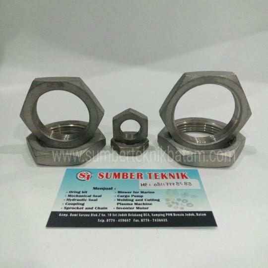 Hex Nut Stainless Steel