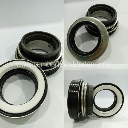 Mechanical Seal Ebara-B