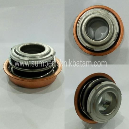 Mechanical Seal FBMT