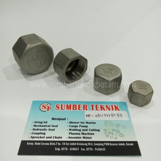 Hex Cap Stainless Steel