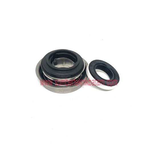 Mechanical seal FW