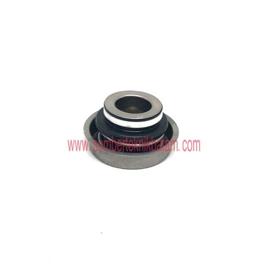 Mechanical seal FBM