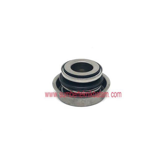 Mechanical seal FBS