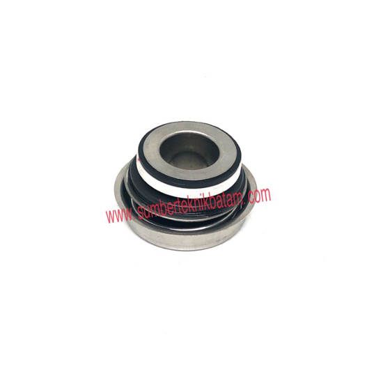 Mechanical seal FBW