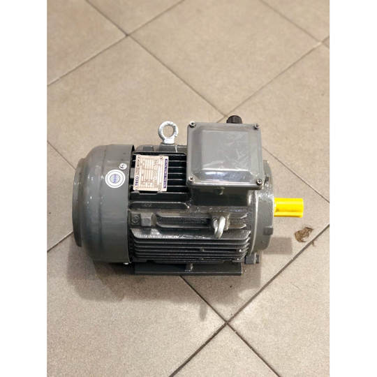 Electric Motor Teco