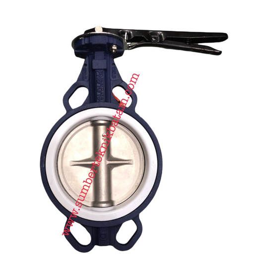 Butterfly Valve PTFE