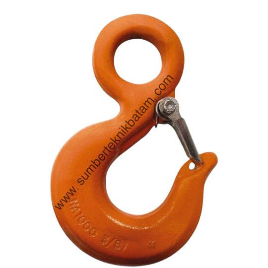 HOOK CHAIN HOIST