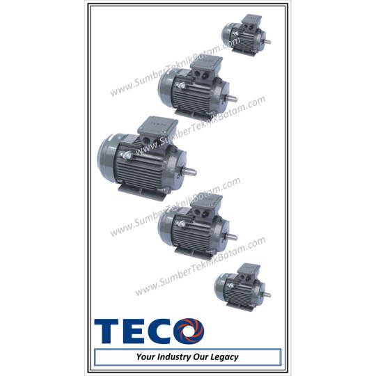 MOTOR TECO