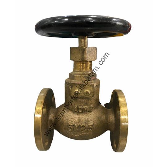 GLOBE VALVE